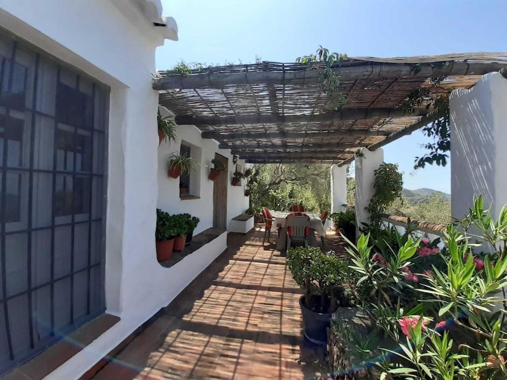 Cortijo Tipico Andaluz En La Sierra Cerca De Frigiliana De Nerja Y De Las Playas Exterior foto