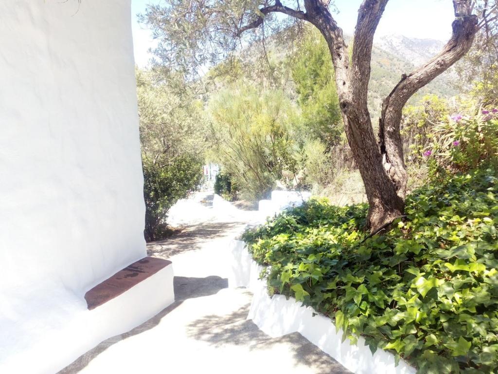 Cortijo Tipico Andaluz En La Sierra Cerca De Frigiliana De Nerja Y De Las Playas Exterior foto