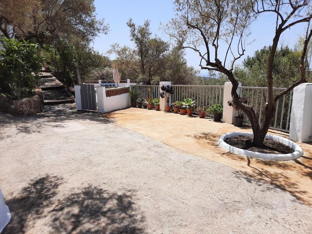 Cortijo Tipico Andaluz En La Sierra Cerca De Frigiliana De Nerja Y De Las Playas Exterior foto